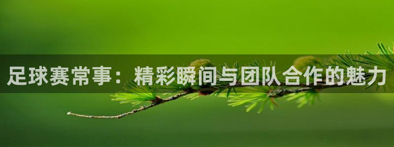 168全国开奖网官网