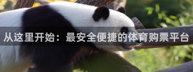 168全国开奖官网查询