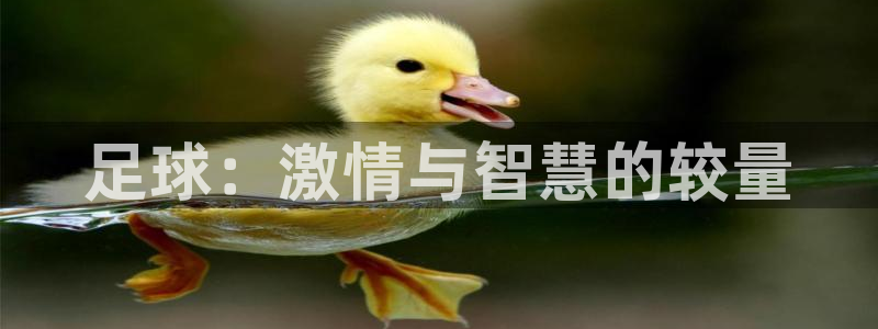 168全国统一开奖网极速赛车极速赛车16
