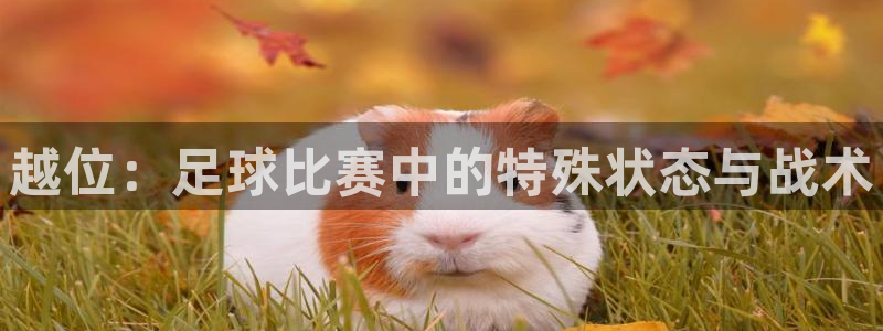 168全国开奖网地址